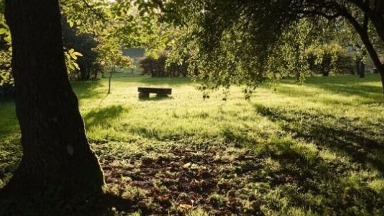 Photo of Others in Cenans