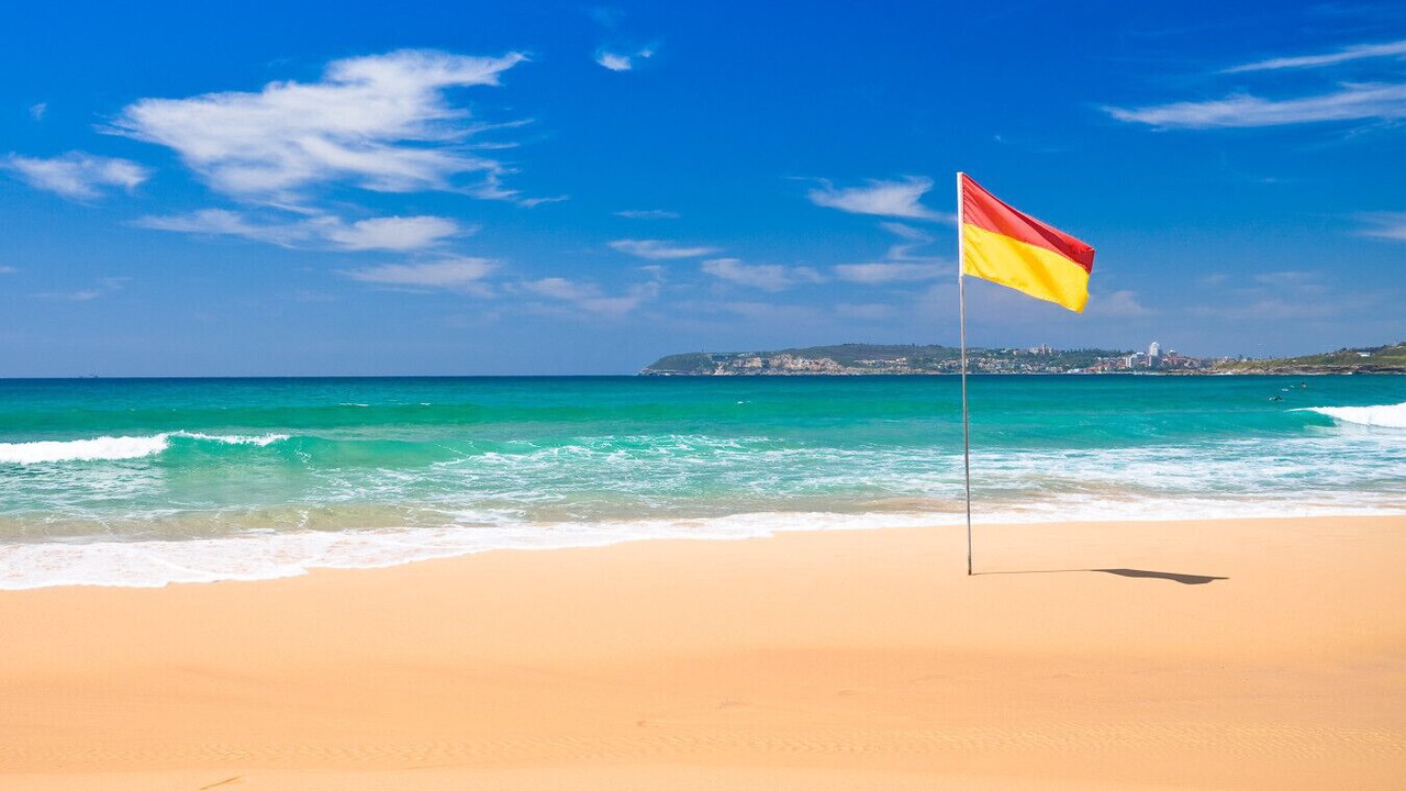 Photo of Others in Dee Why