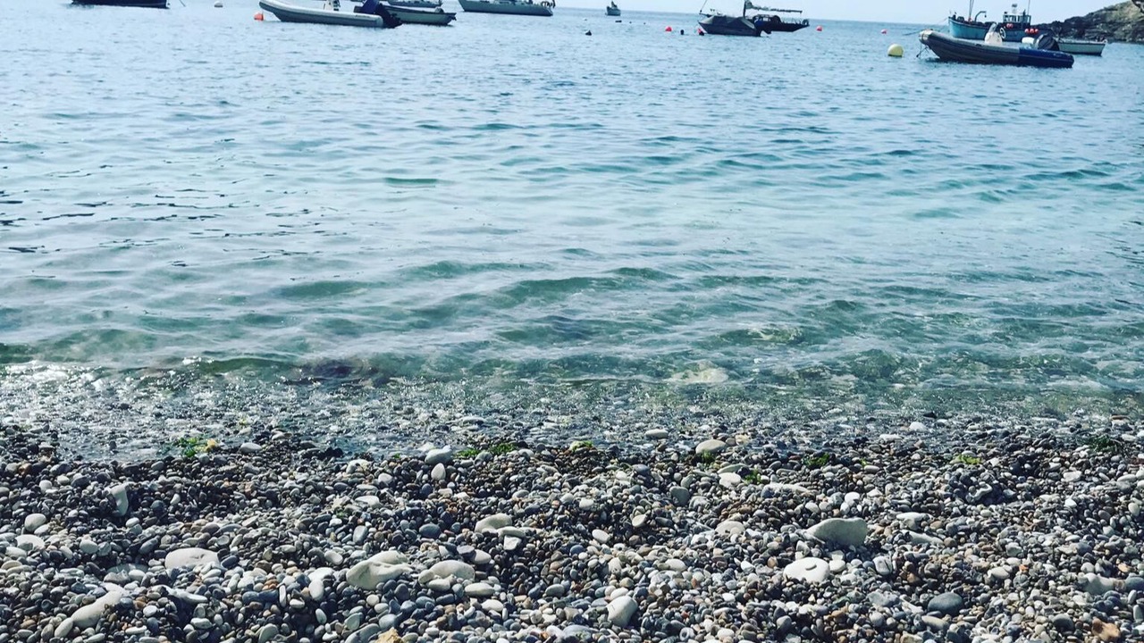 Photo of Others in West Lulworth