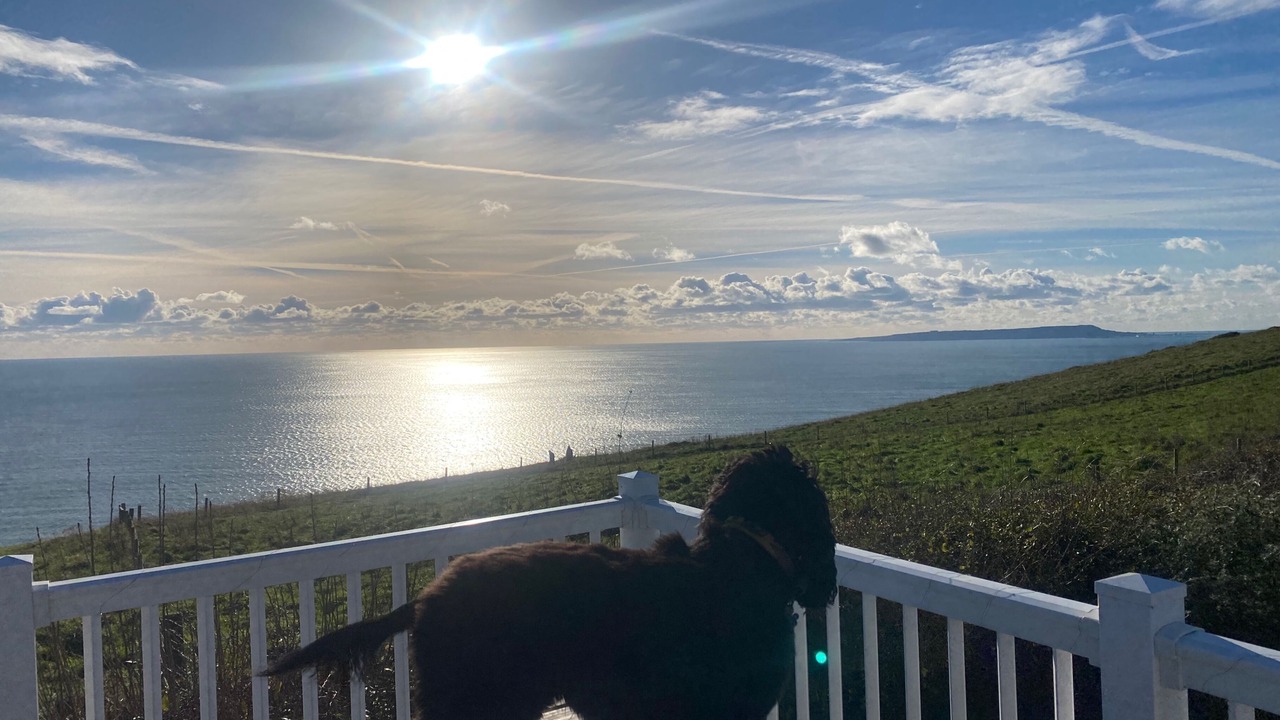 Photo of Others in West Lulworth