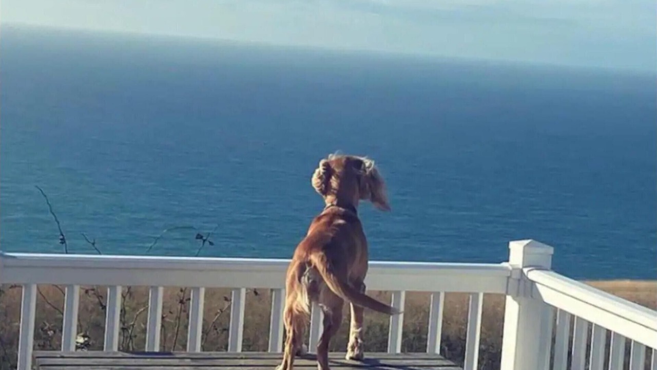 Photo of Outdoor in West Lulworth