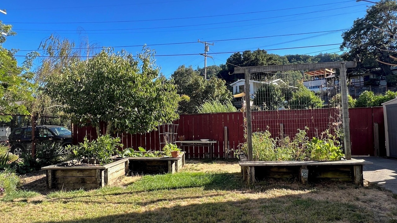 Photo of Outdoor in San Anselmo