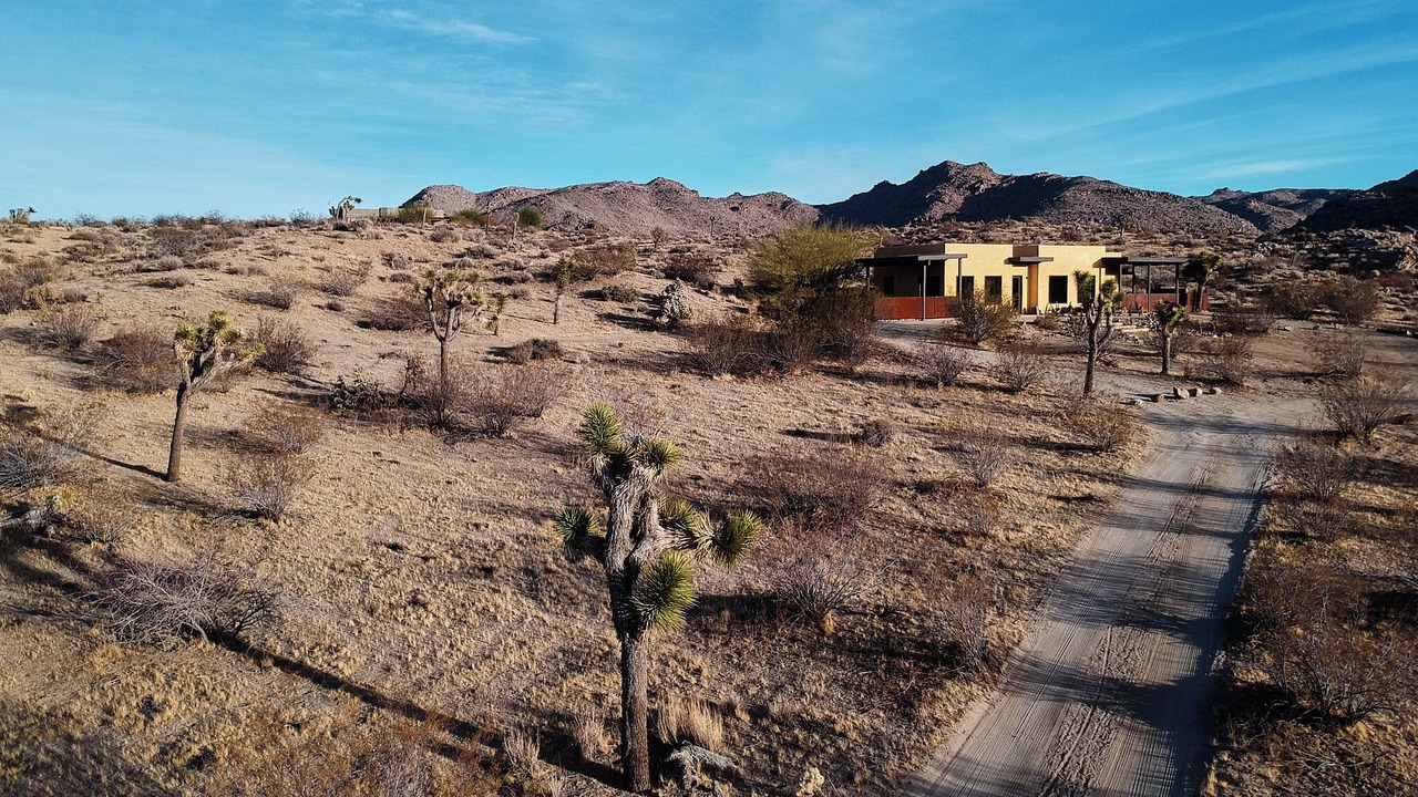 Photo of Outdoor in Joshua Tree