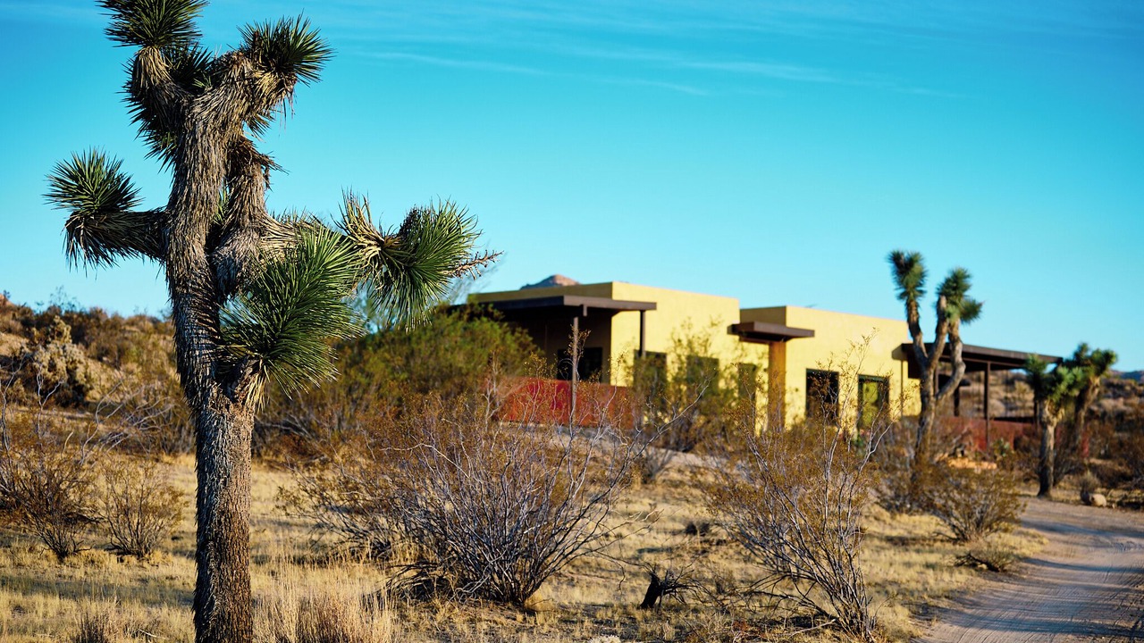 Photo of Outdoor in Joshua Tree