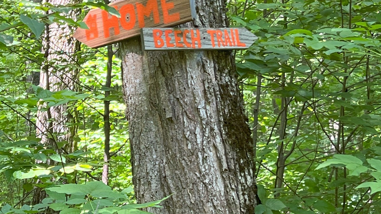 Photo of Outdoor in Oro-Medonte