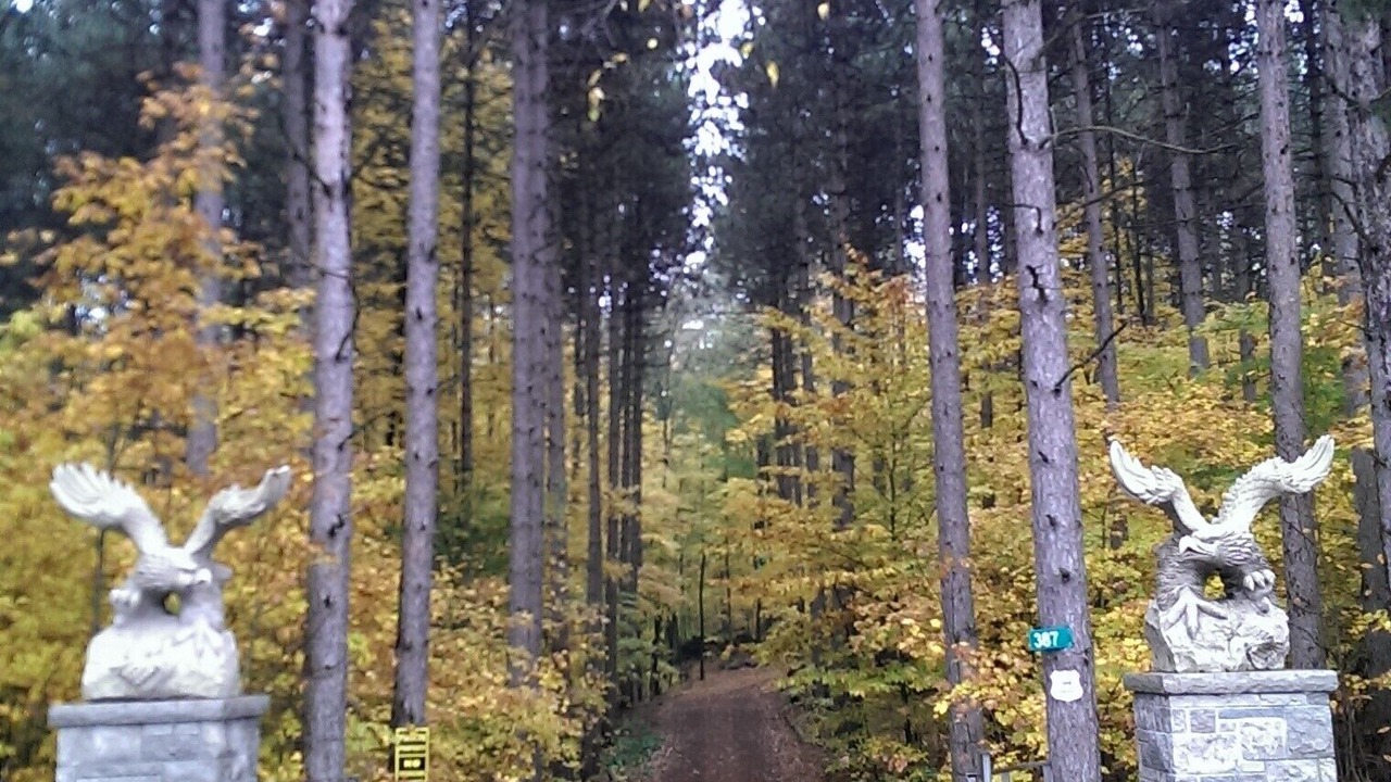 Photo of Others in Oro-Medonte