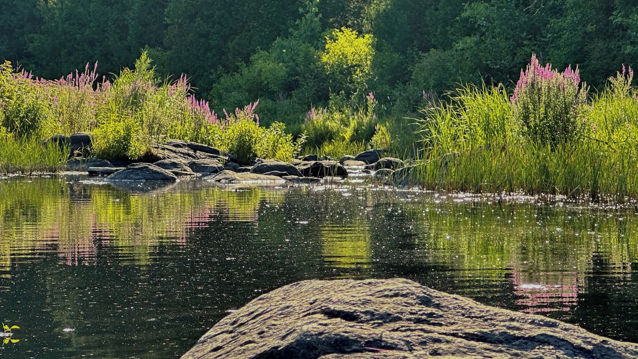 Photo of Others in Thomasburg