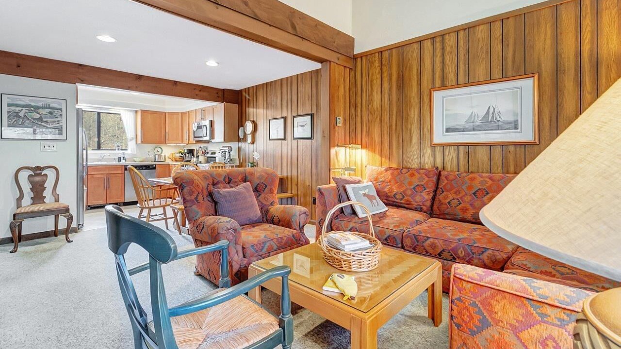Photo of Livingroom in Bromley Mountain