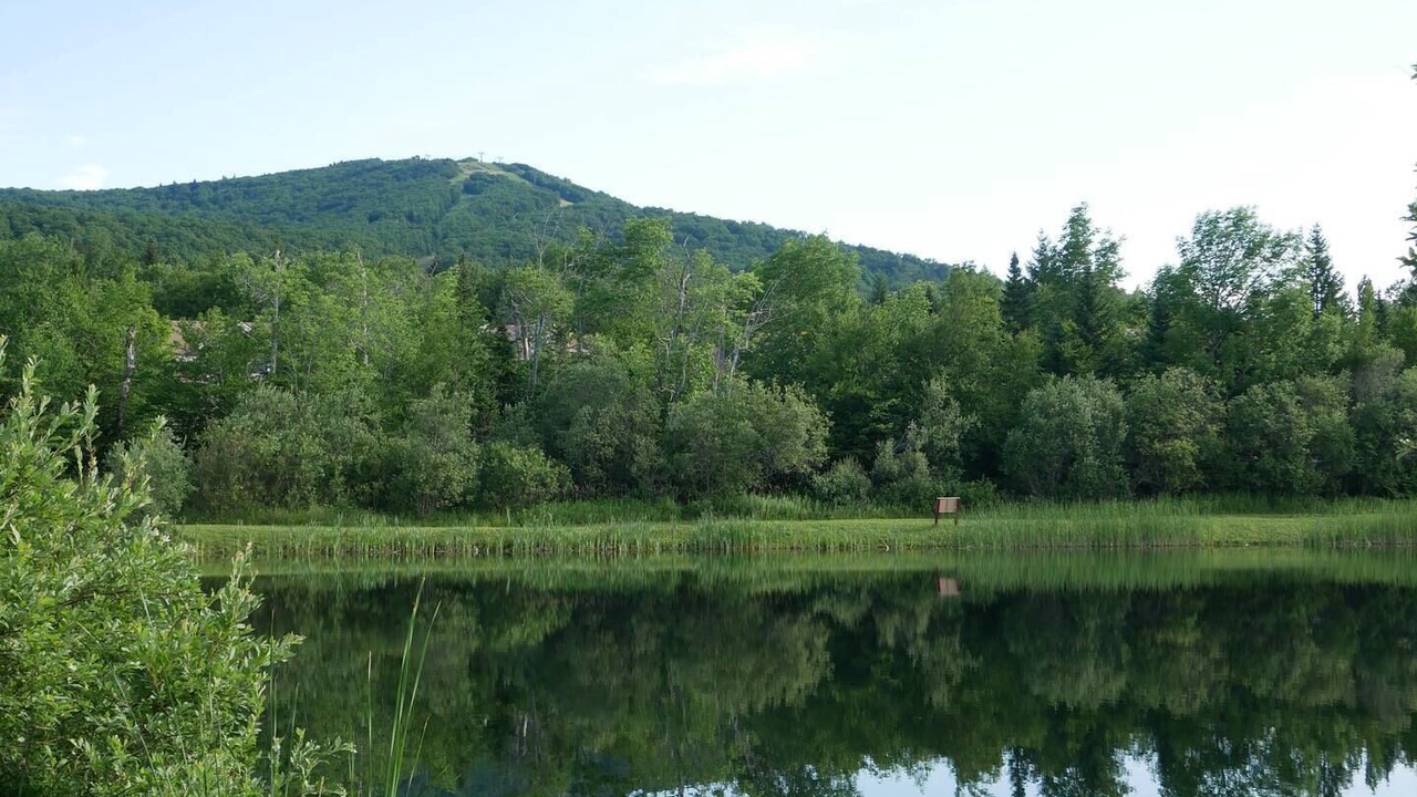 Photo of Others in Bromley Mountain