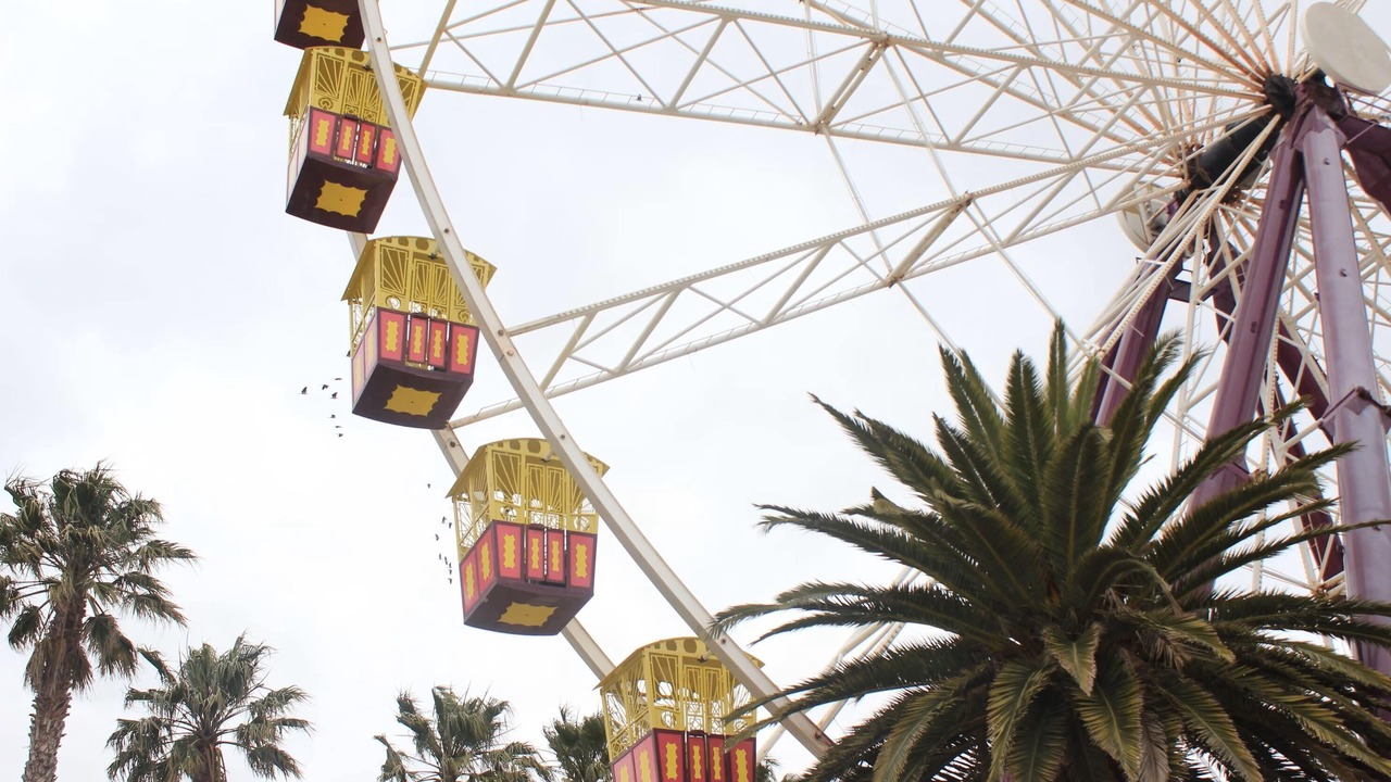 Photo of Others in Geelong West