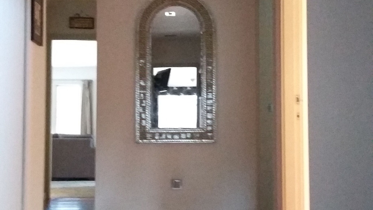 Photo of Others in Rotorua