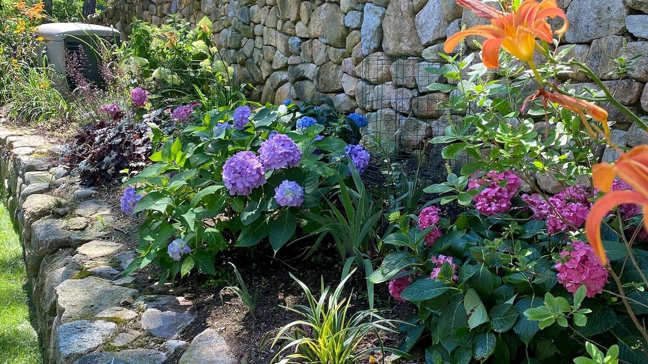 Photo of Outdoor in Summersea