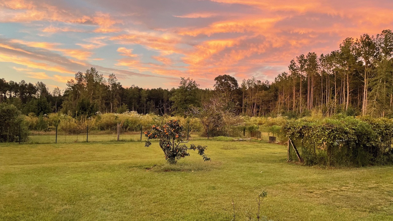 Photo of Outdoor in Eastabuchie