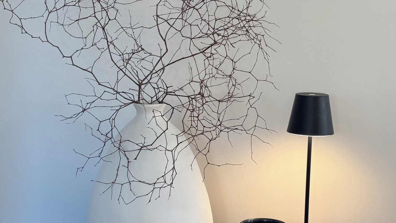 Photo of Others in Muriwai