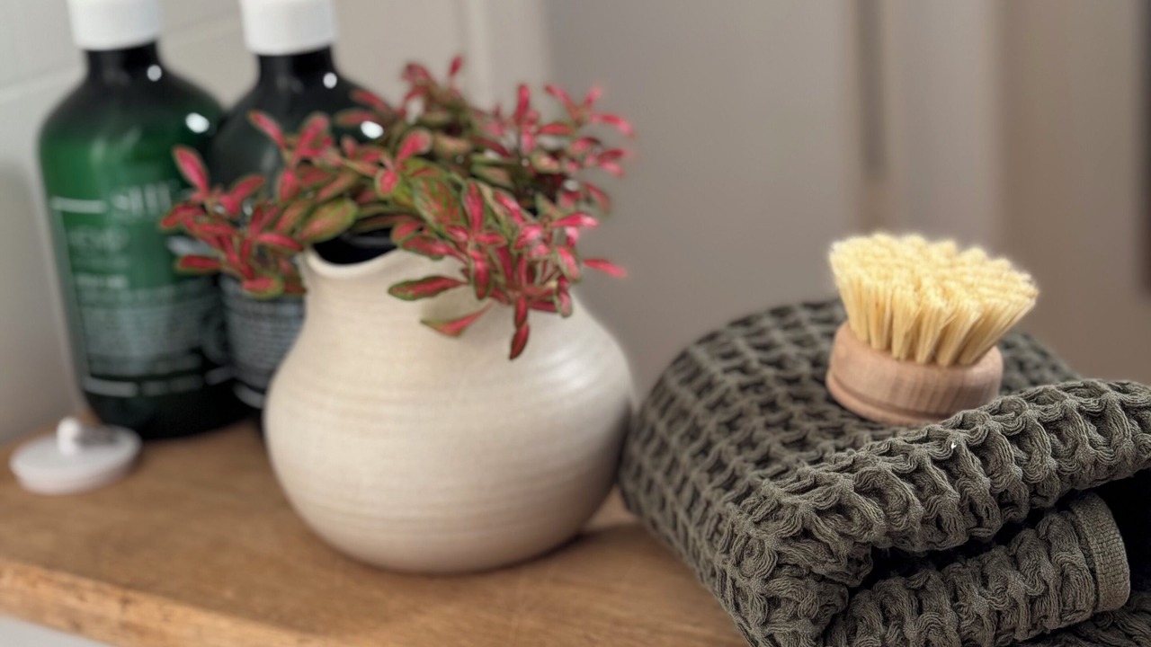 Photo of Others in Muriwai