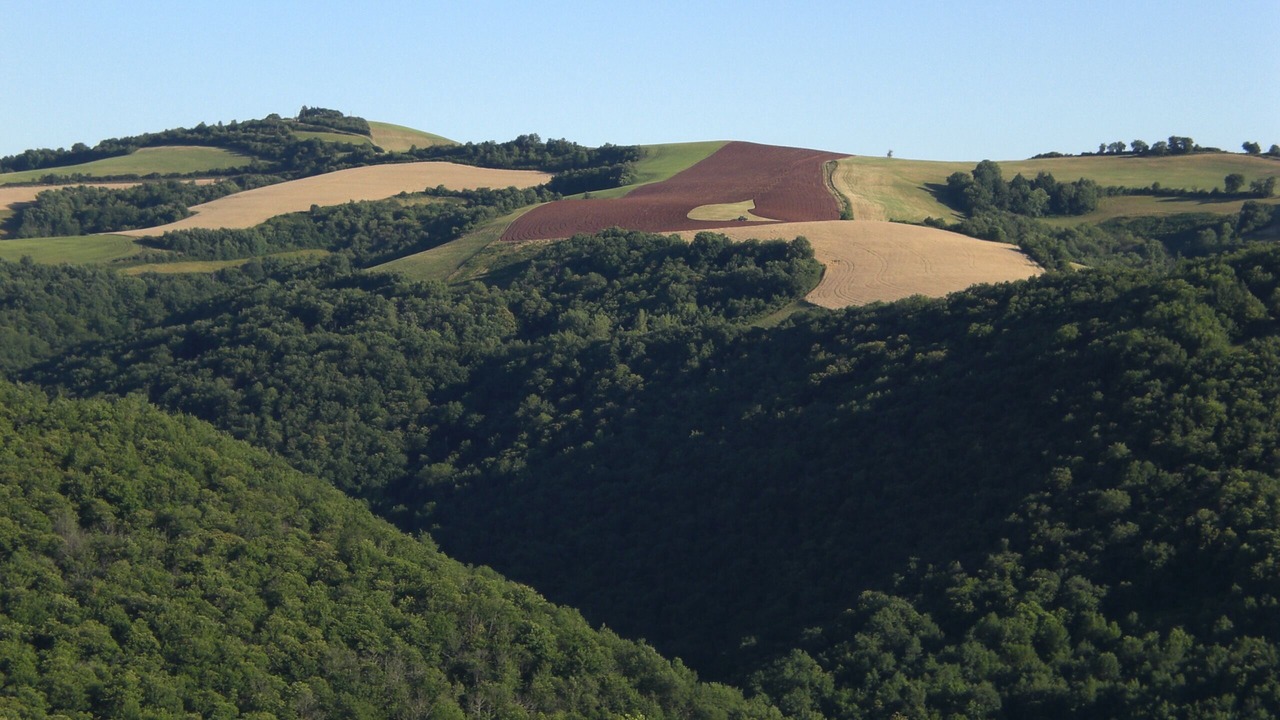Photo of Others in Martrin