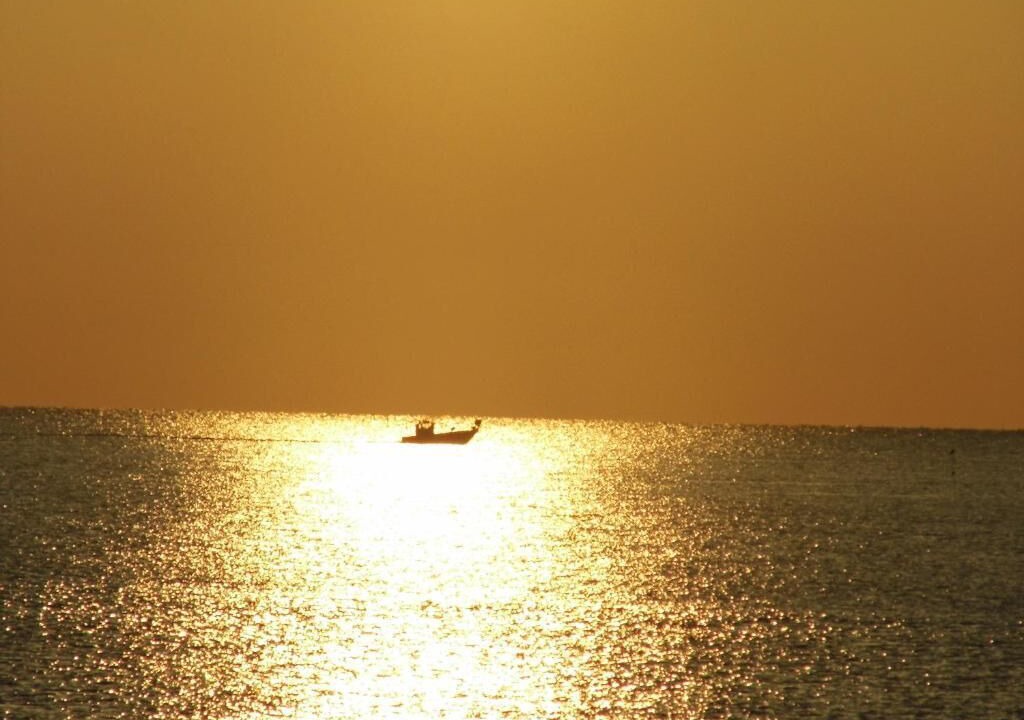 Photo of Outdoor in Le Barcares