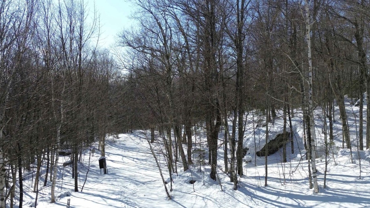 Photo of Others in Warren