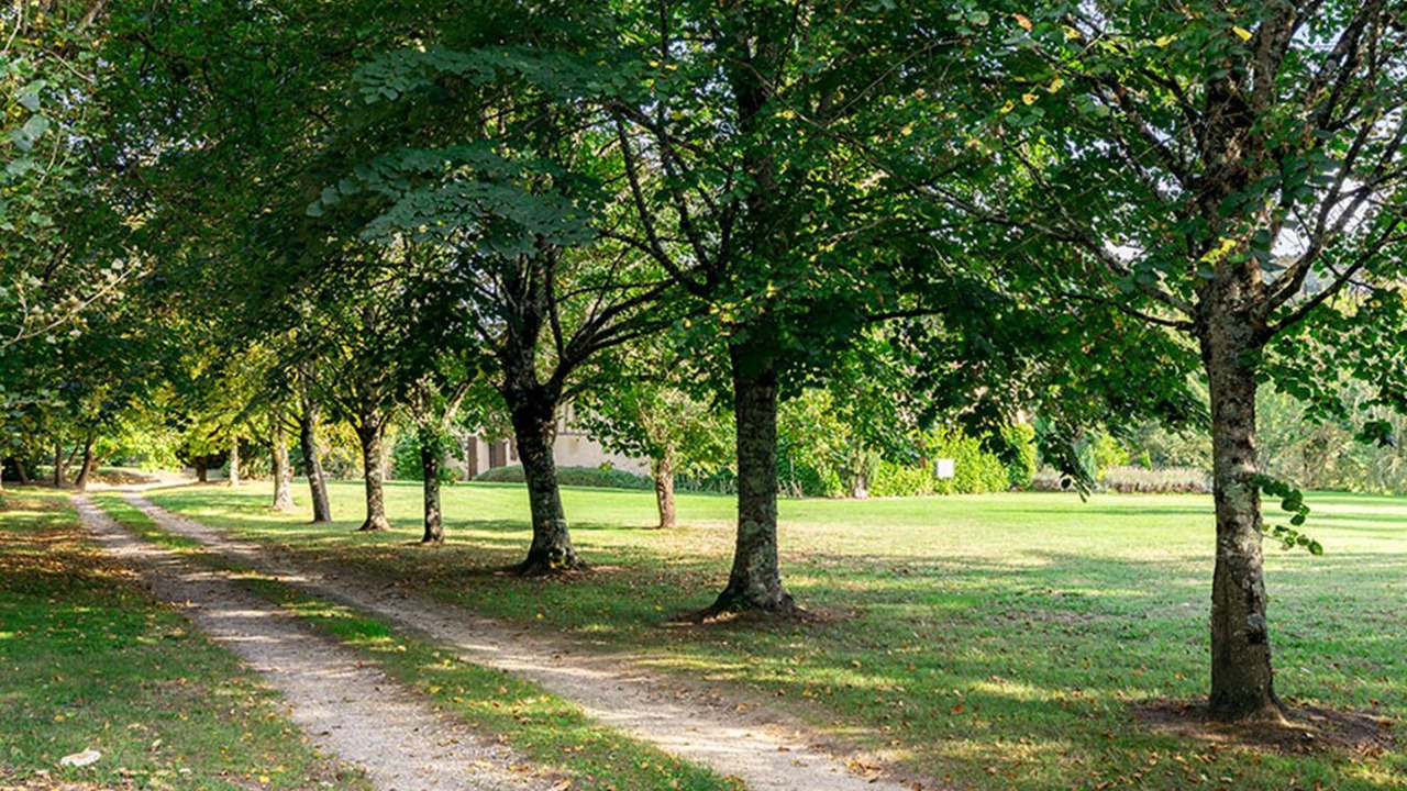Photo of Outdoor in Castelnau-d'Auzan