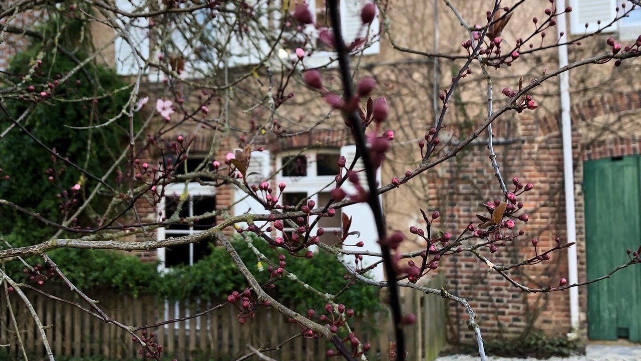 Photo of Outdoor in Chateau-Renard