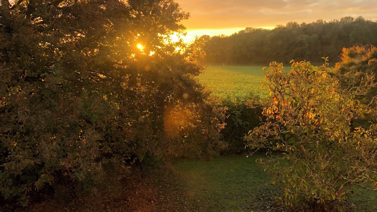 Photo of Outdoor in Chateau-Renard