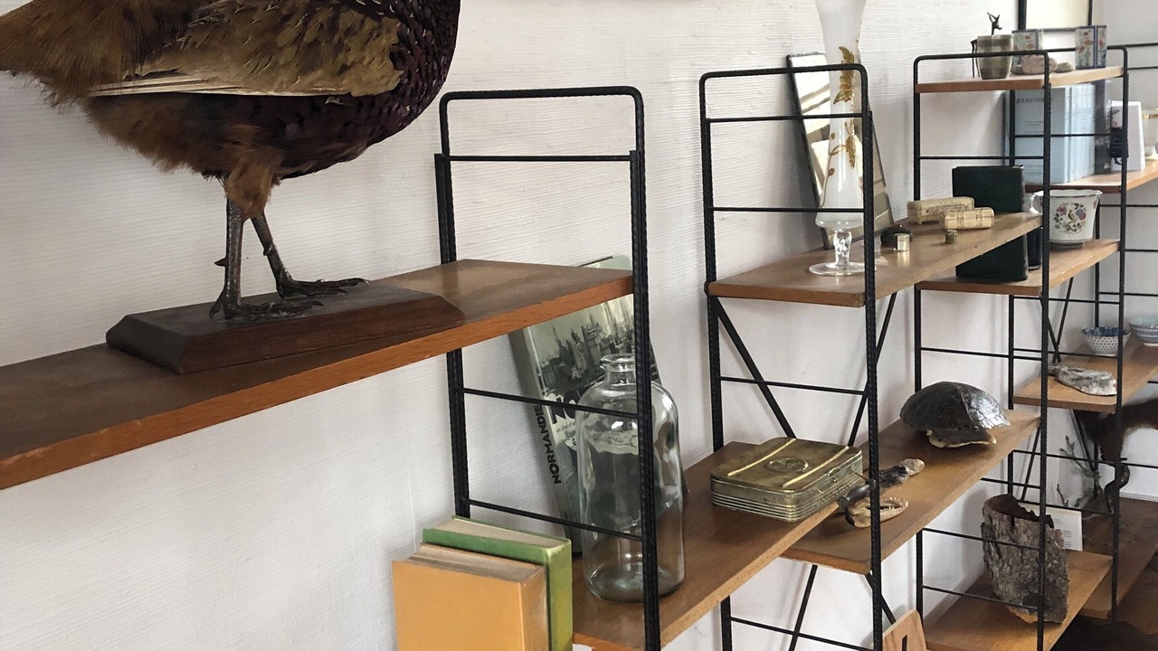 Photo of Others in Chateau-Renard