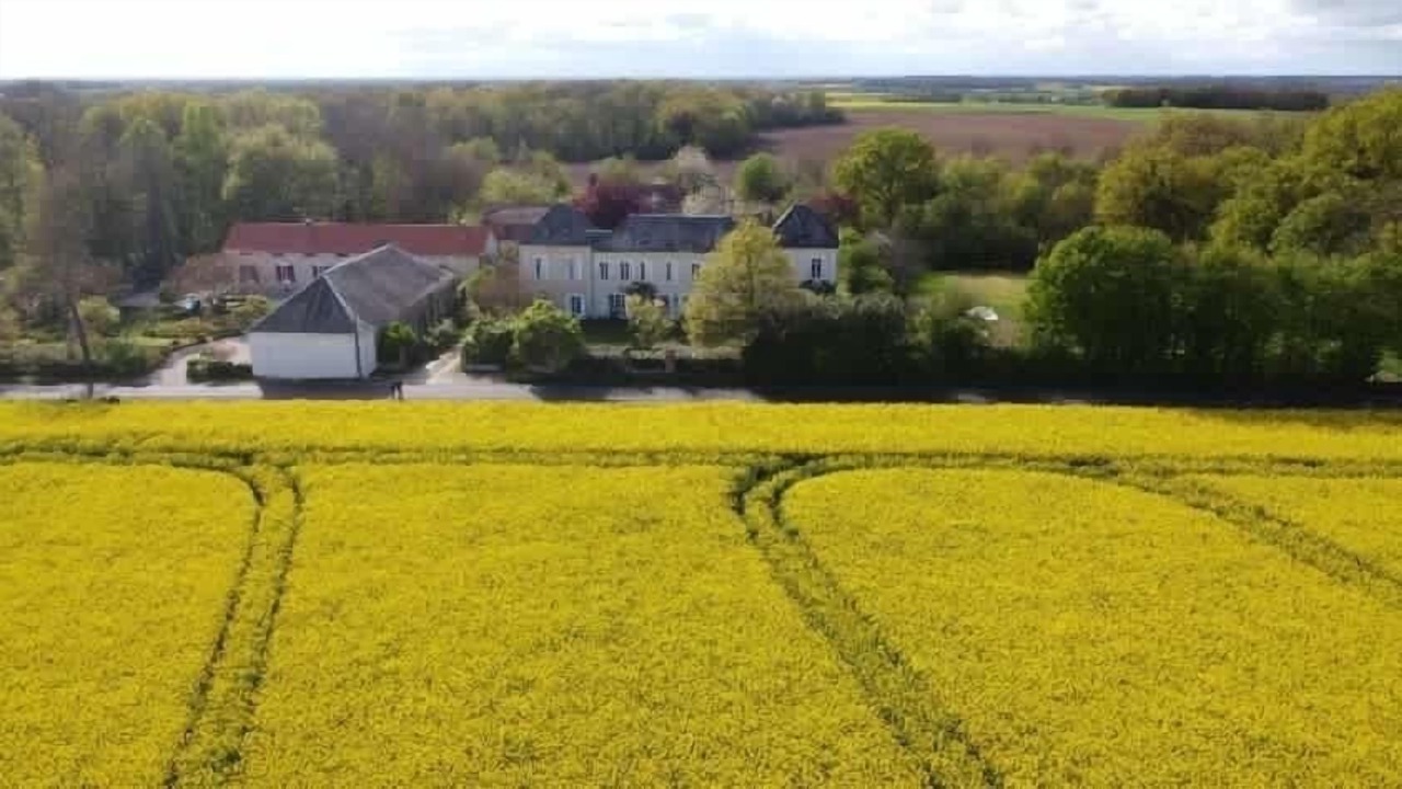 Photo of Others in Chateau-Renard