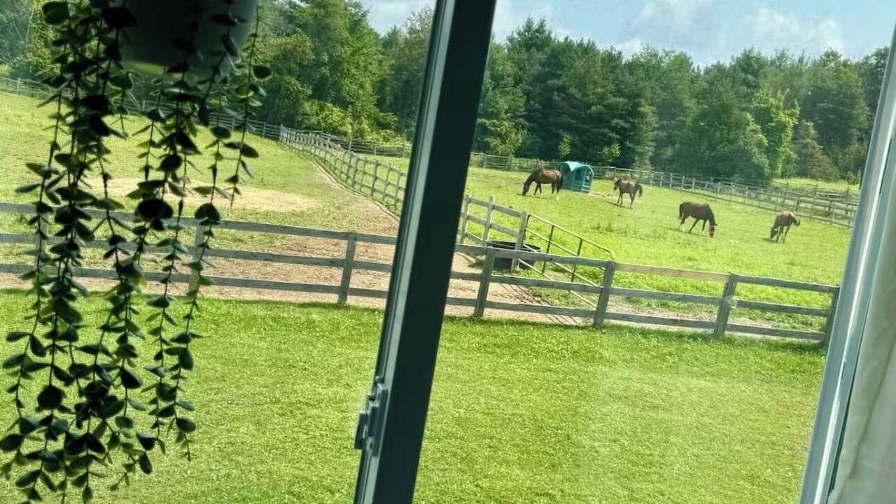 Photo of Others in King
