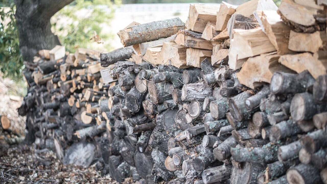 Photo of Others in Green Valley