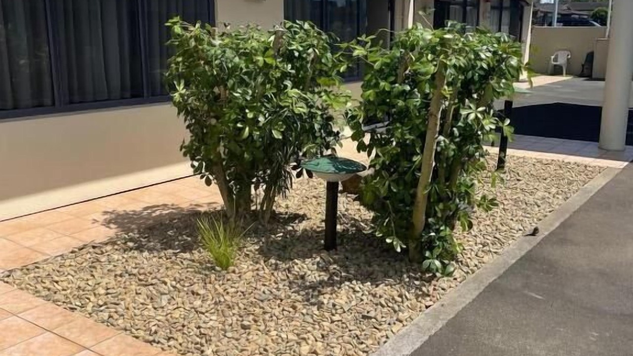 Photo of Outdoor in Tauranga South