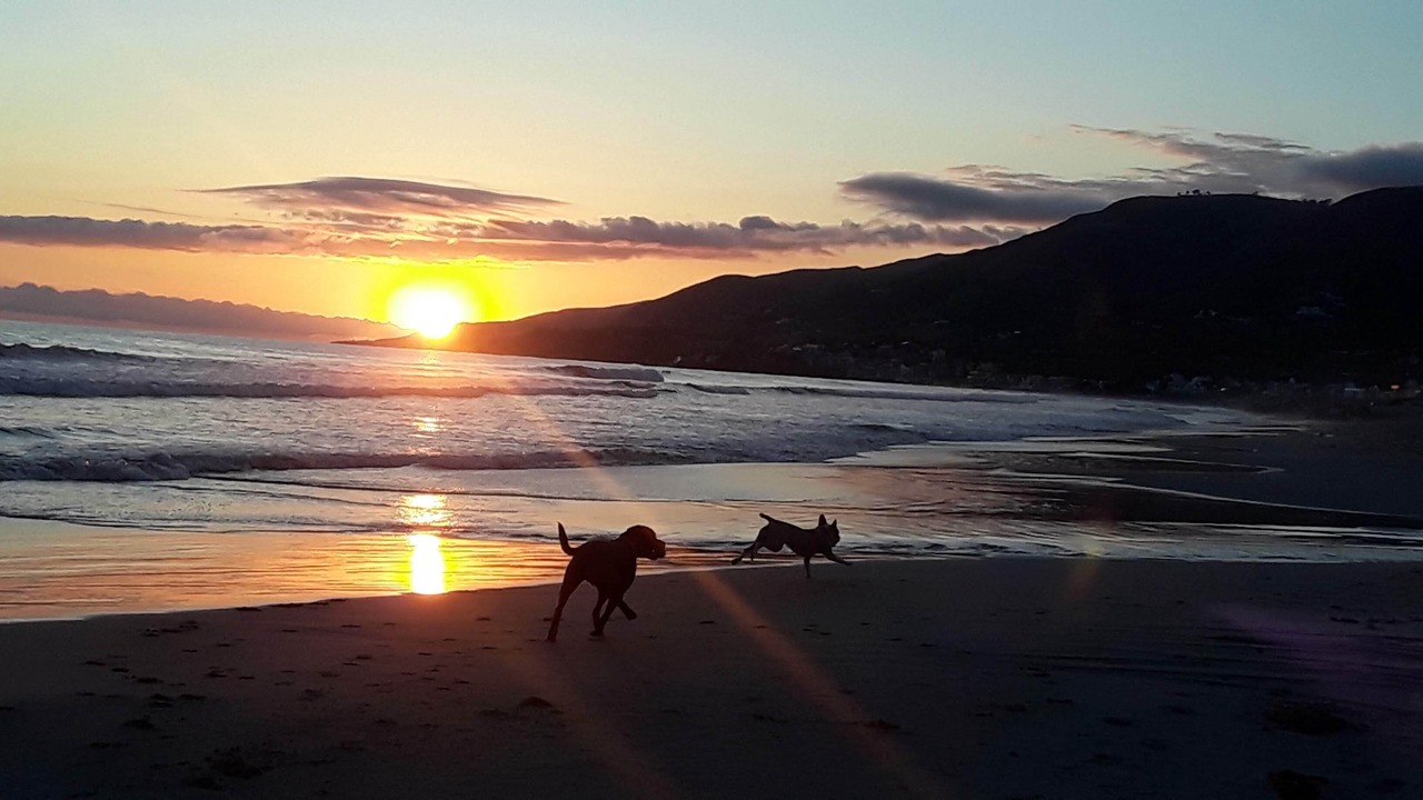 Photo of Others in Western Malibu