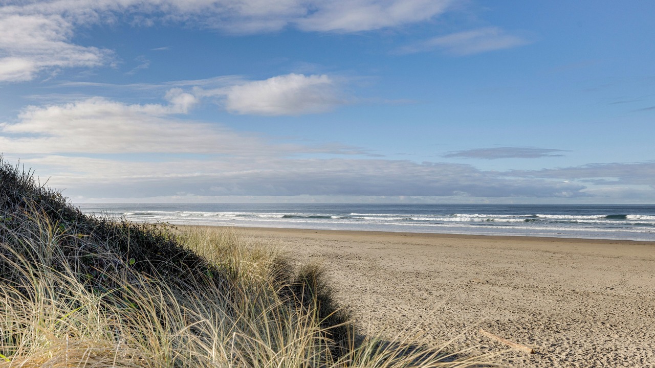 Photo of Others in Rockaway Beach