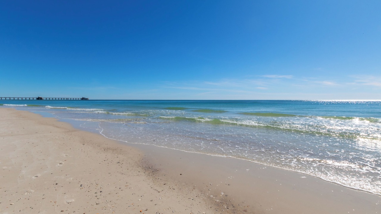 Photo of Others in Gulf Shores