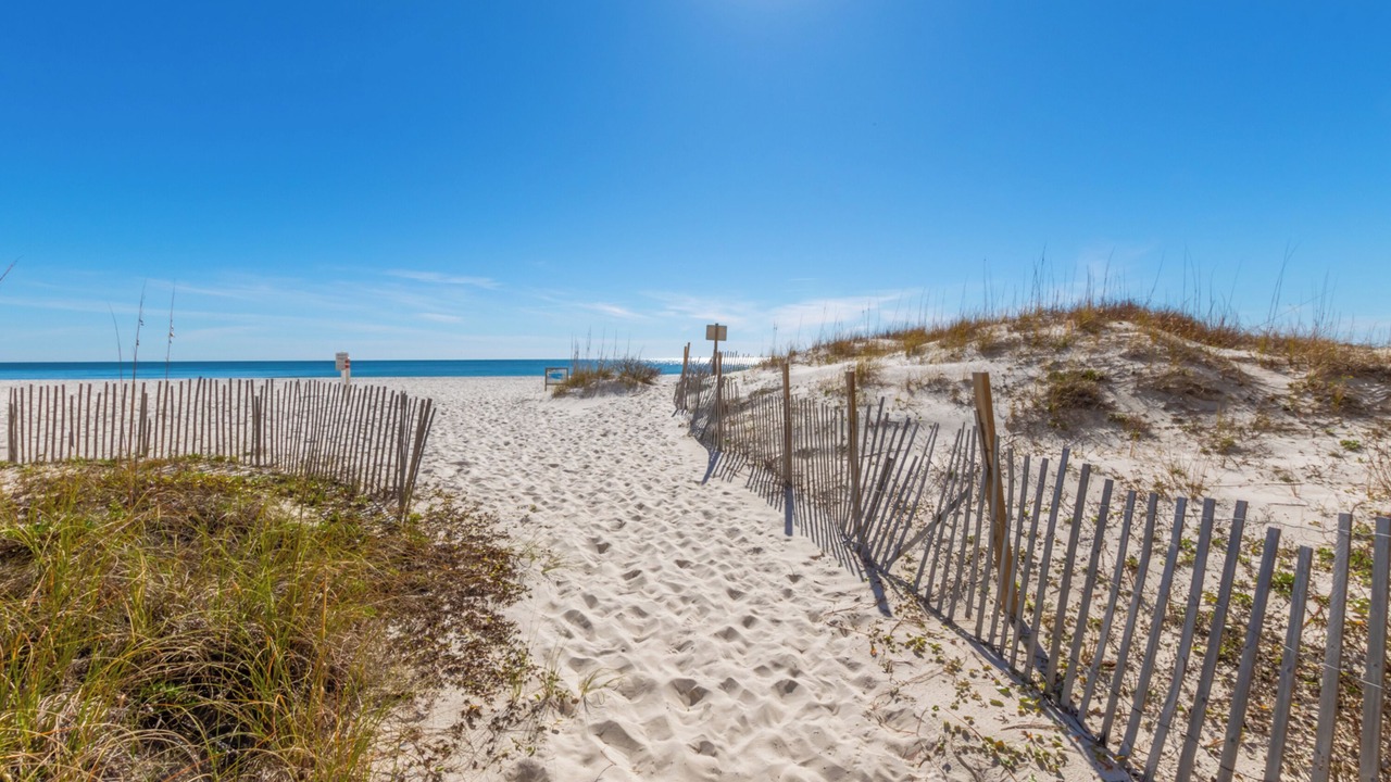 Photo of Others in Gulf Shores
