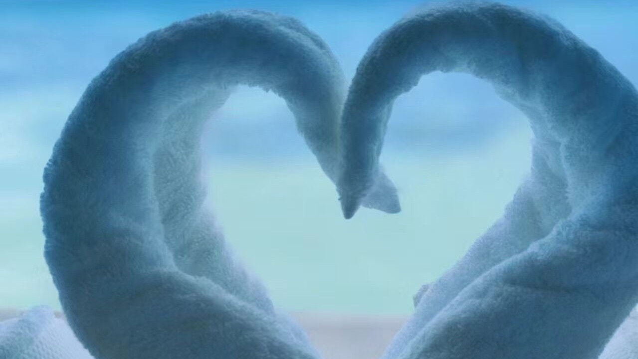 Photo of Bedroom in Sabah