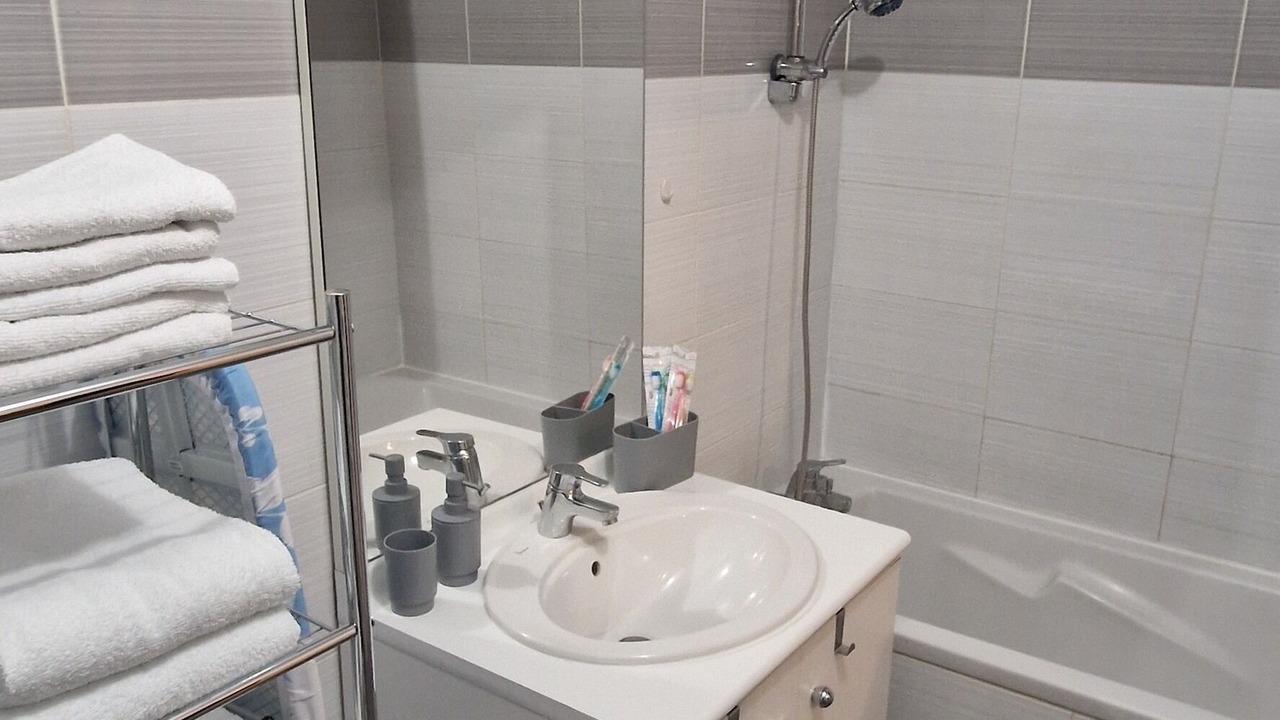 Photo of Bathroom in Meyzieu Centre