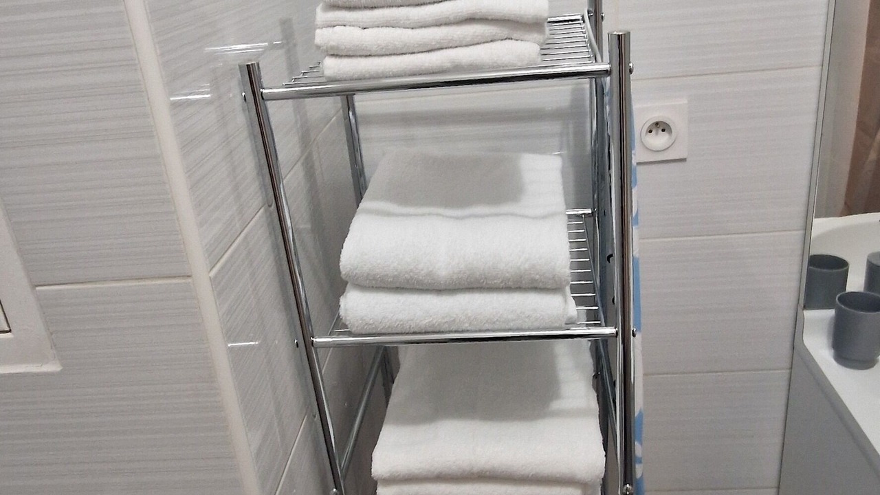 Photo of Bathroom in Meyzieu Centre