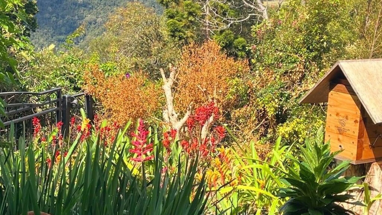 Photo of Patio Balcony in Beechmont