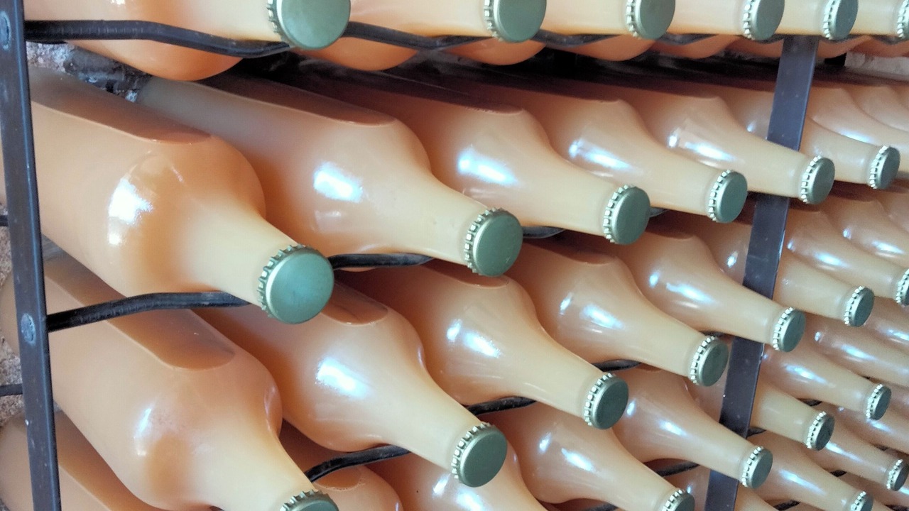 Photo of Others in Bretoncelles