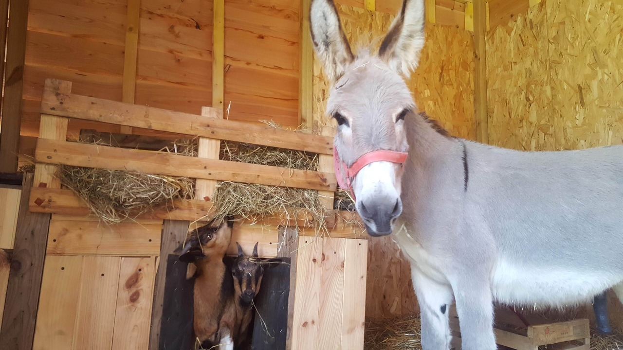 Photo of Others in Bretoncelles