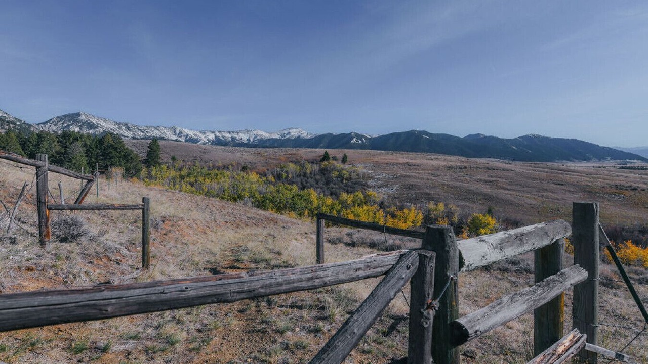 Photo of Others in Belgrade