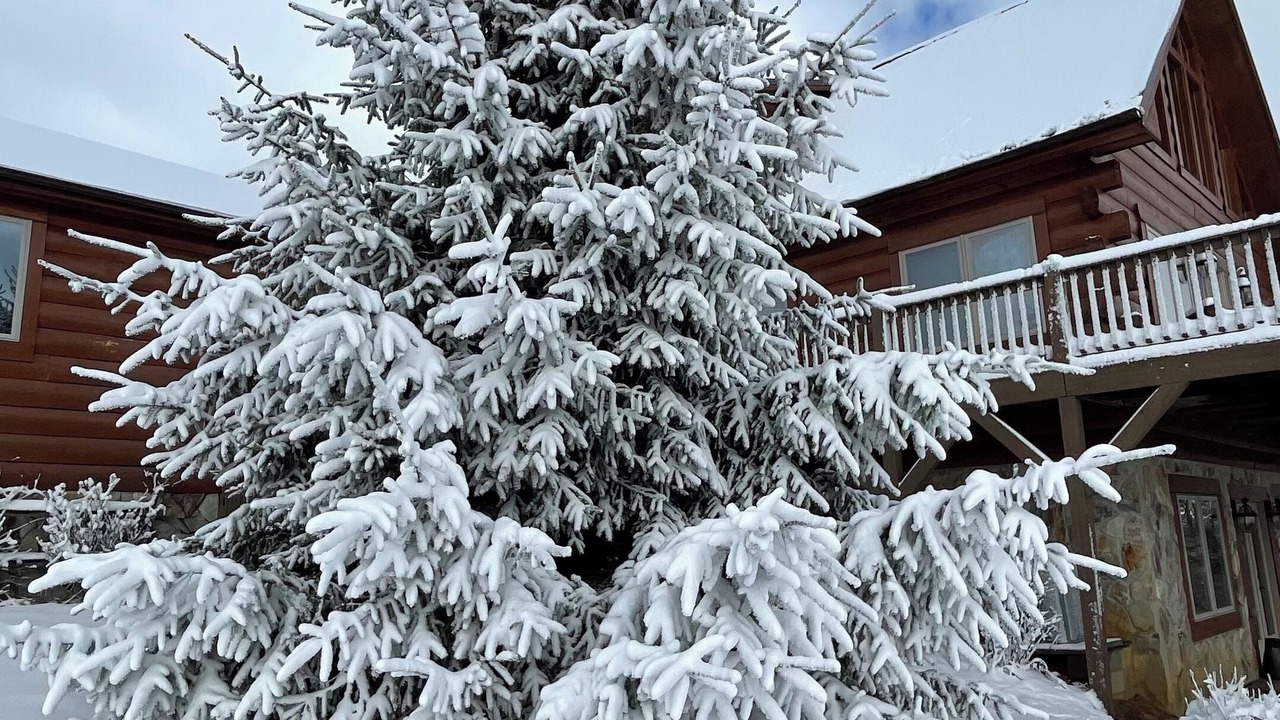 Photo of Outdoor in Piper Gap