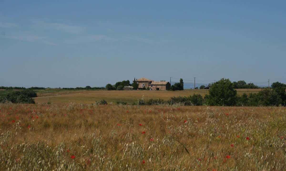 Photo of Others in Valensole