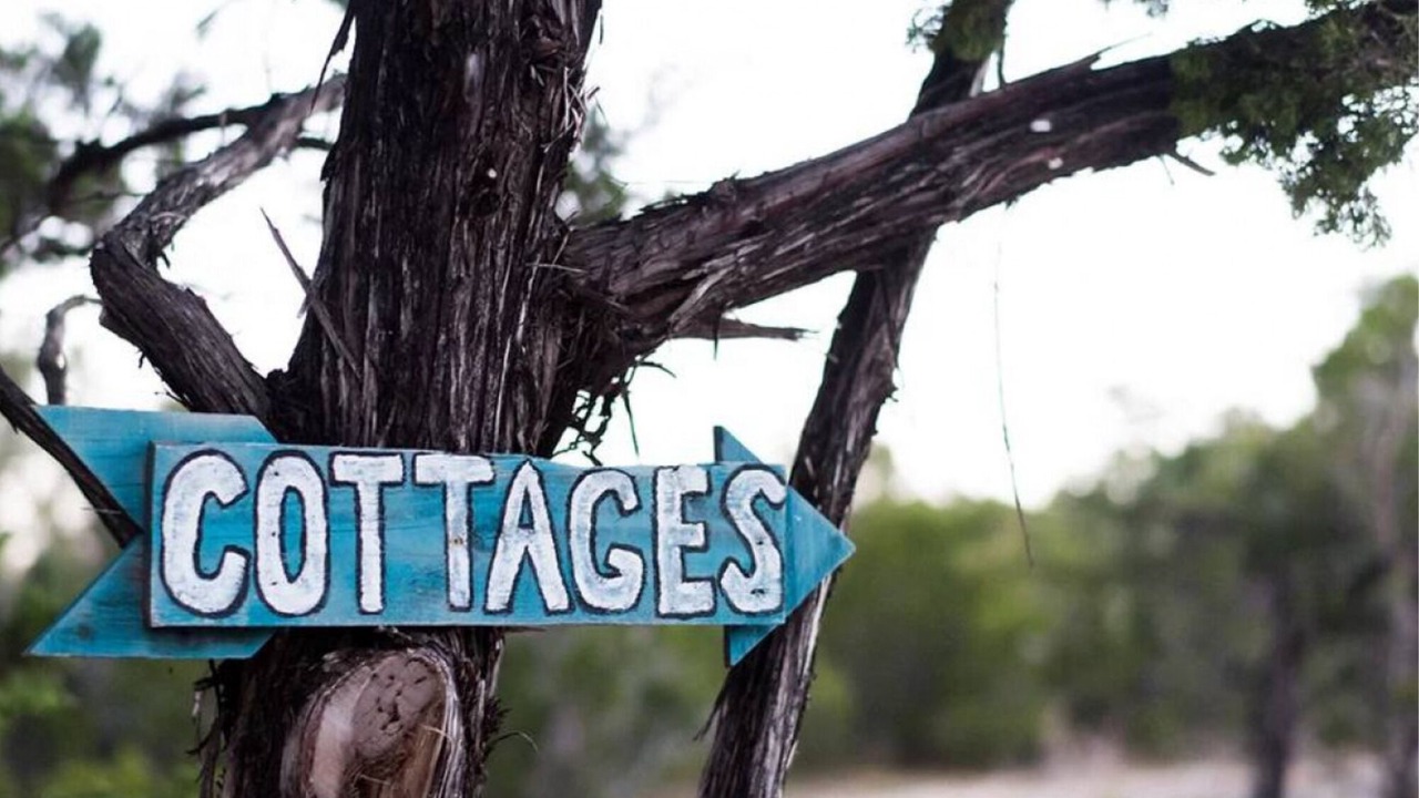 Photo of Others in Dripping Springs