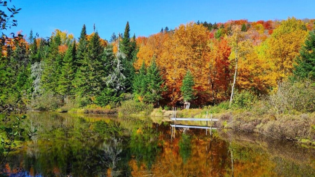 Photo of Others in St-Adolphe-d'Howard