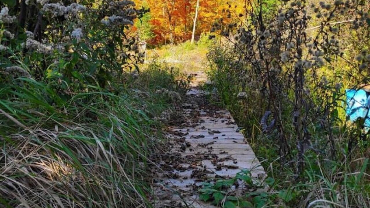Photo of Outdoor in St-Adolphe-d'Howard