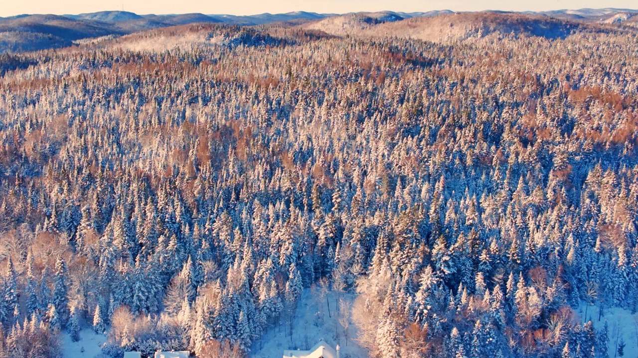 Photo of Outdoor in Sainte-Marguerite-du-Lac-Masson