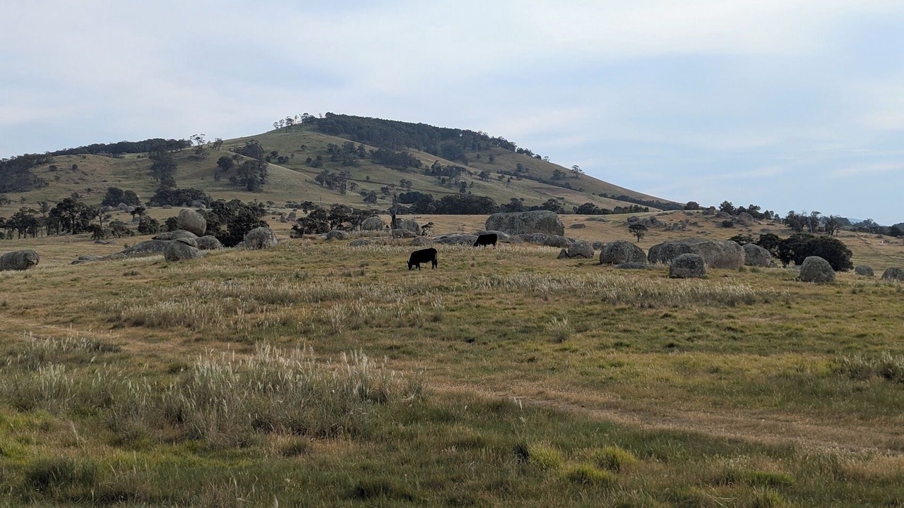 Photo of Others in Nulla Vale