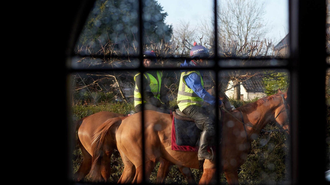 Photo of Others in Ditcheat