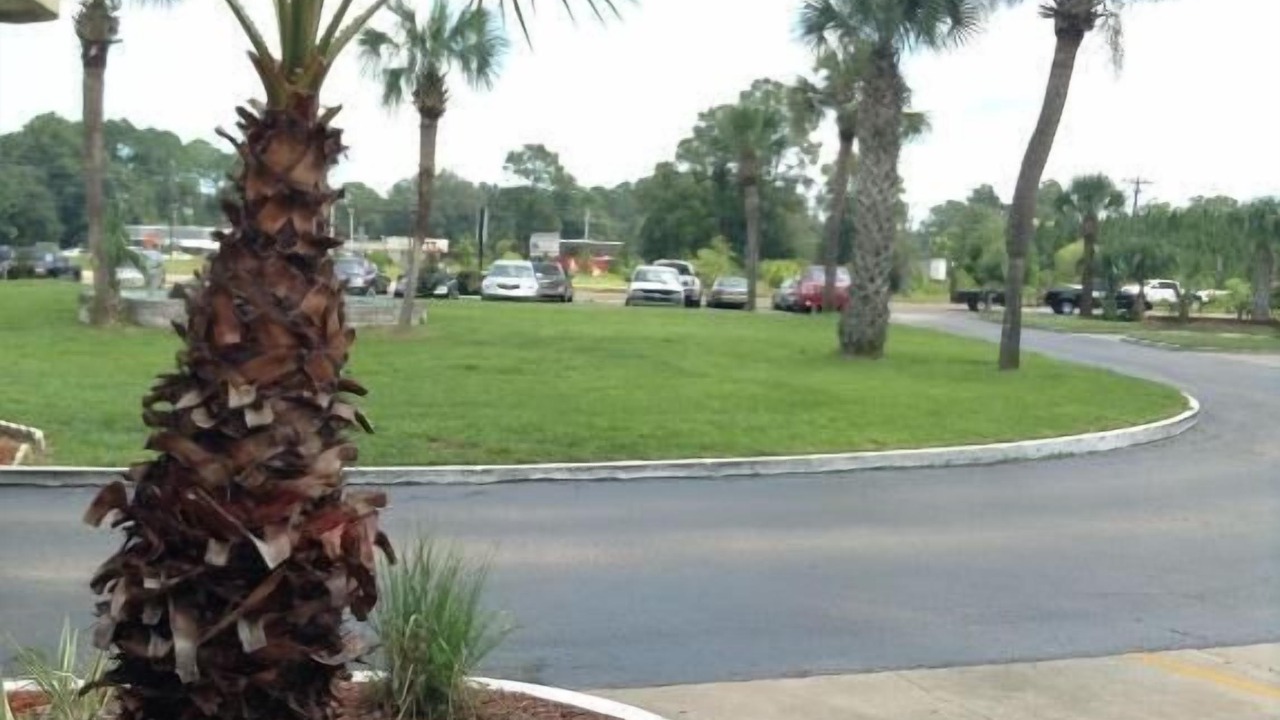 Photo of Outdoor in Yulee